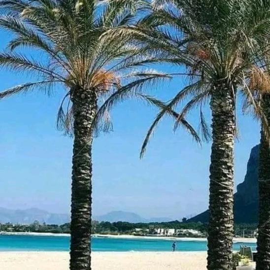 Affittacamere A Tre Minuti In Spiaggia Il Veliero Сан-Вито-Ло-Капо Экстерьер фото